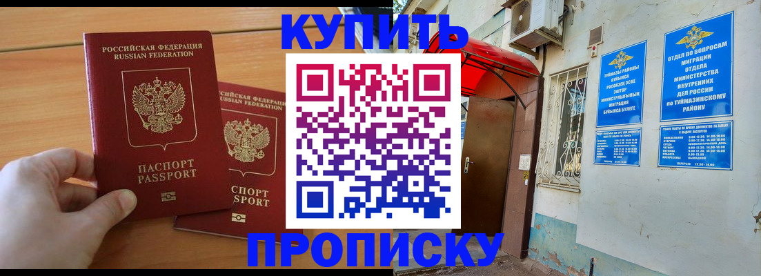 прописка штамп в Кашине